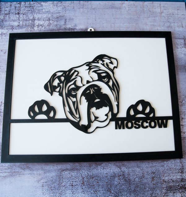 Cuadro Deco Mascota (personalizado) - Imagen 4
