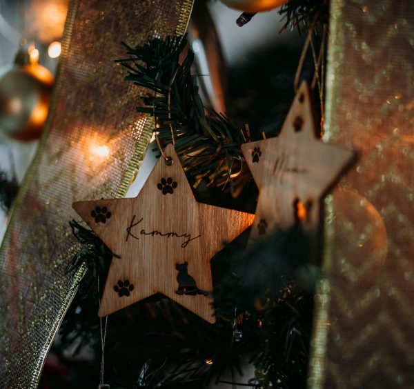 Pack Adorno Navidadeño Para Mascotas - Imagen 3